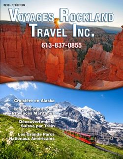TRAVEL INC. VOYAGES ROCKLAND 613-837-0855 - MAGAZINE 2019-1