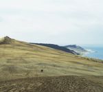DES ACTEURS DE L'EAU PANORAMA - Agence R&eacute;gionale de la Biodiversit&eacute; Nouvelle ...