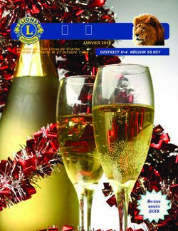 Le Lion Fauve JANVIER 2018 - DISTRICT U-4 R&Eacute;GION 55 EST - Club Lions Granby