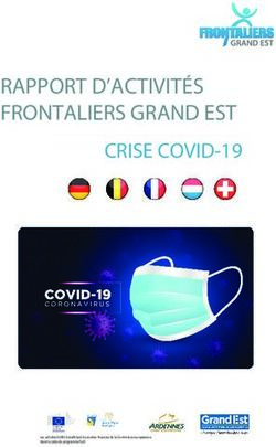 RAPPORT D'ACTIVIT&Eacute;S FRONTALIERS GRAND EST - CRISE COVID-19