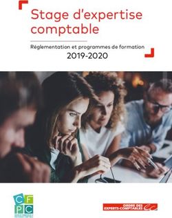 Stage d'expertise comptable - 2019-2020 Réglementation et programmes de formation - expert-sup.com