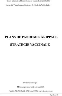 PLANS DE PANDEMIE GRIPPALE STRATEGIE VACCINALE