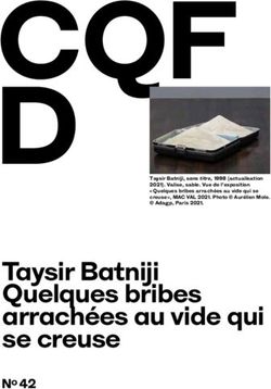 Taysir Batniji Quelques bribes arrachées au vide qui se creuse