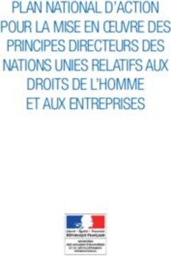 PLAN NATIONAL D'ACTION POUR LA MISE EN ŒUVRE DES PRINCIPES DIRECTEURS ...