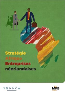 Stratégie Afrique Entreprises néerlandaises - Netherlands-African ...