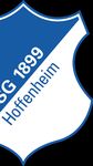 TSG 1899 Hoffenheim - Exterity