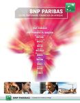 Fran&ccedil;aises & l'Afrique - Les entreprises RAPPORT 2011 - Conseil fran&ccedil;ais des investisseurs en Afrique