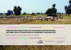 FORMATION DES PRODUCTEURS SUR LES MESURES DE GESTION DURABLE DES TERRES (GDT) ET D'ADAPTATION AU CHANGEMENT CLIMATIQUE (ACC). BOÎTE À IMAGES ET ...
