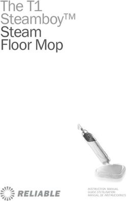 The T1 Steamboy Steam Floor Mop