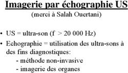 Imagerie par &eacute;chographie US - (merci &agrave; Salah Ouertani) US = ultra-son (f 20 000 Hz) Echographie = utilisation des ultra-sons &agrave; des fins ...