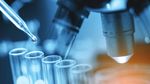 COVID-19 : ACC&Egrave;S AUX M&Eacute;DICAMENTS ET IMPLICATIONS POUR L'AFRIQUE Ceci est un document de discussion - African ...
