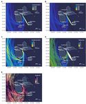 Caractérisation du trafic maritime via le Système d'Identification Automatique (AIS) dans le bassin Caraïbes - PROJET TRAFIC