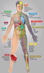 Cas cliniques et recommandations - Toxicit&eacute;s endocriniennes de l'immunoth&eacute;rapie Dr Amandine Berdelou