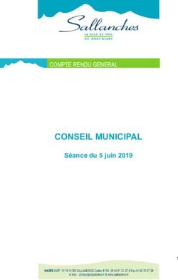 CONSEIL MUNICIPAL COMPTE RENDU GENERAL - Ville de ...