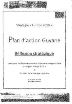 Les enjeux de développement de la Guyane en regard de la stratégie " Europe 2020 " - Plan d'action Guyane