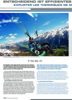 ENTSCHEIDEND IST EFFIZIENTES THERMIKFLIEGEN - Chill Out Paragliding AG