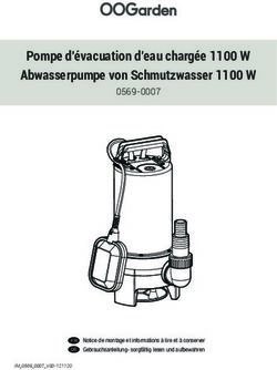 Submersible pump Pompe d'évacuation d'eau chargée 1100 W 0569-0007