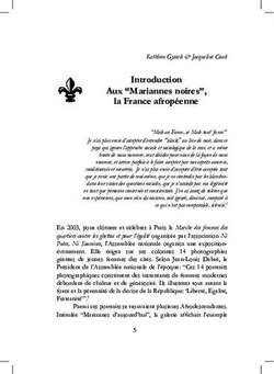 Introduction Aux "Mariannes noires", la France afrop&eacute;enne - Hypotheses.org