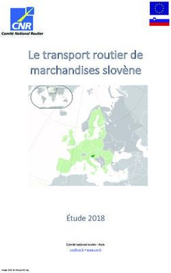 Le transport routier de marchandises slovène - Étude 2018 Comité national routier - Paris