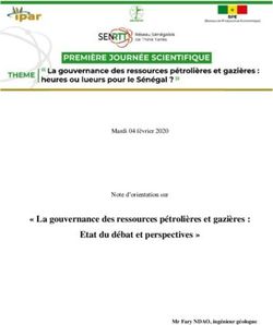 " La gouvernance des ressources p&eacute;troli&egrave;res et gazi&egrave;res : Etat du d&eacute;bat et perspectives " - Mardi 04 f&eacute;vrier 2020 Note d'orientation sur