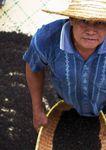 SLOW FOOD UNE ALIMENTATION BONNE, PROPRE ET JUSTE, POUR TOUS