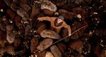 SLOW FOOD UNE ALIMENTATION BONNE, PROPRE ET JUSTE, POUR TOUS