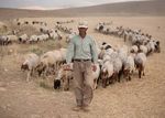 SLOW FOOD UNE ALIMENTATION BONNE, PROPRE ET JUSTE, POUR TOUS