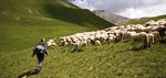 SLOW FOOD UNE ALIMENTATION BONNE, PROPRE ET JUSTE, POUR TOUS