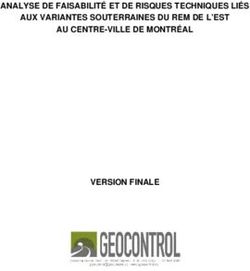 ANALYSE DE FAISABILIT&Eacute; ET DE RISQUES TECHNIQUES LI&Eacute;S AUX VARIANTES SOUTERRAINES DU REM DE L'EST AU CENTRE-VILLE DE MONTR&Eacute;AL - VERSION FINALE ...