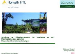 Schéma de Développement du thermalisme des Landes - Diagnostic et Orientations stratégiques