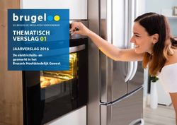 THEMATISCH VERSLAG 01 - JAARVERSLAG 2016 De elektriciteits- en gasmarkt in het Brussels Hoofdstedelijk Gewest - Brugel