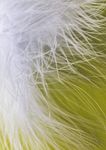 Programme R&eacute;gional de Surveillance - de la Qualit&eacute; de l'Air 2017-2021 des Hauts-de-France - Atmo Hauts-de-France