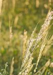 Programme R&eacute;gional de Surveillance - de la Qualit&eacute; de l'Air 2017-2021 des Hauts-de-France - Atmo Hauts-de-France