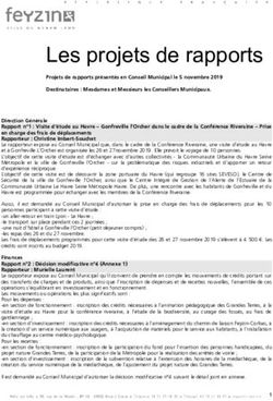 Les projets de rapports - Ville de Feyzin