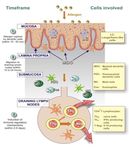 L'IMMUNOTHERAPIE SPECIFIQUE ALLERGENIQUE (ITA) - en pratique