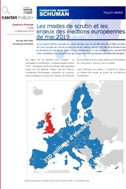 Les modes de scrutin et les enjeux des élections européennes de mai 2019