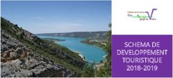SCHEMA DE DEVELOPPEMENT TOURISTIQUE 2018-2019 - cclgv