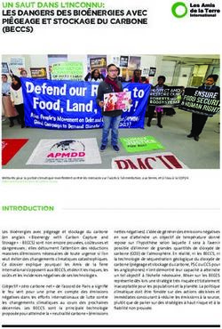 Un saut dans l'inconnu: les dangers des bio&eacute;nergies avec pi&eacute;geage et stockage du carbone - (BECCS) - Friends of the Earth International