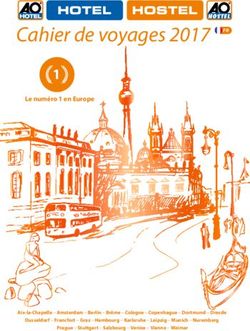 Cahier de voyages 2017 - a&o Hostels