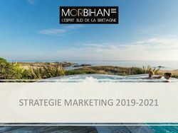 STRATEGIE MARKETING 2019-2021 - Morbihan-pro.com