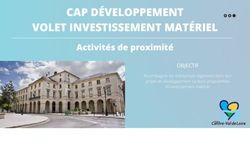 CAP D&Eacute;VELOPPEMENT VOLET INVESTISSEMENT MAT&Eacute;RIEL - Activit&eacute;s de proximit&eacute; OBJECTIF - Region ...
