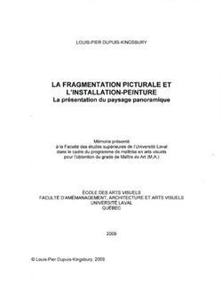 LA FRAGMENTATION PICTURALE ET L'INSTALLATION-PEINTURE