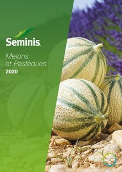 Melons et Pastèques 2020 - De Ruiter Seeds