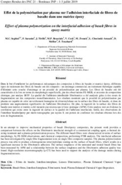 Effet de la polymérisation par plasma sur l'adhésion interfaciale de fibres de basalte dans une matrice époxy - JNC 21