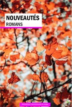 NOUVEAUT&Eacute;S ROMANS - Grand Longwy