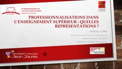 PROFESSIONNALISATIONS DANS L'ENSEIGNEMENT SUPÉRIEUR : QUELLES REPRÉSENTATIONS ? - Sabrina Labbé - JPP IUT Lorient