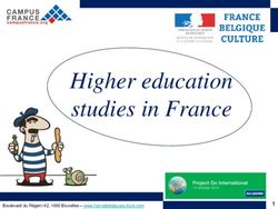 Higher education studies in France
