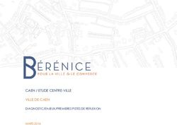CAEN / ETUDE CENTRE-VILLE VILLE DE CAEN