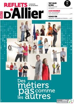 Llier A Reflets - Conseil Départemental de l'Allier