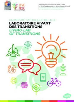 LABORATOIRE VIVANT DES TRANSITIONS LIVING-LAB OF TRANSITIONS - UNIVERSITÉ CATHOLIQUE DE LILLE - Université Catholique de Lille